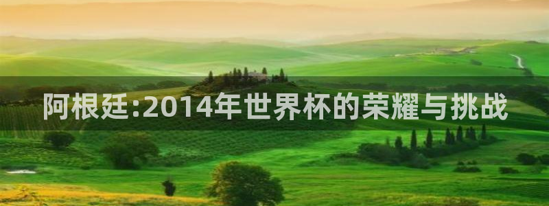 世界杯亚洲区预选赛赛程：阿根廷:2014年世界杯的荣耀与挑战