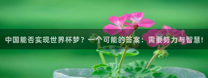 世预赛免费直播入口：中国能否实现世界杯梦？一个可能的答案：需要努力与智慧!