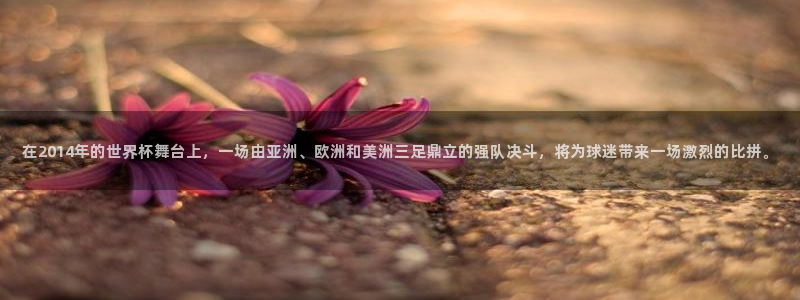 26世界杯：在2014年的世界杯舞台上，一场由亚洲、欧洲和美洲三足鼎立的强队决斗，将为球迷带来一场激烈的比拼。
