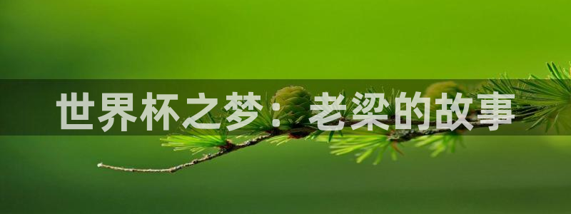 今天所有足球赛程表：世界杯之梦：老梁的故事