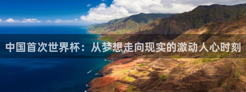 世界杯球队排名：中国首次世界杯：从梦想走向现实的激动人心时刻