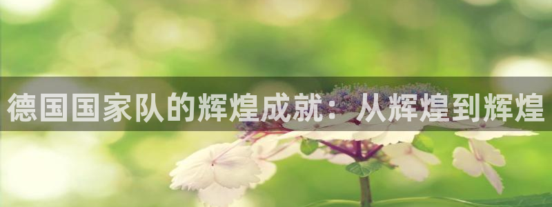 世俱杯直播：德国国家队的辉煌成就：从辉煌到辉煌