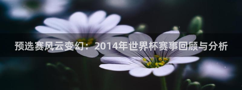 世界杯亚洲预选赛18强赛程：预选赛风云变幻：2014年世界杯赛事回顾与分析
