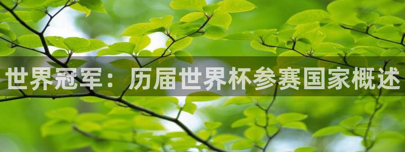 世界杯比赛直播：世界冠军：历届世界杯参赛国家概述