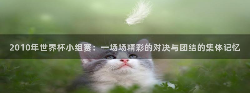 足球杯：2010年世界杯小组赛：一场场精彩的对决与团结的集体记忆