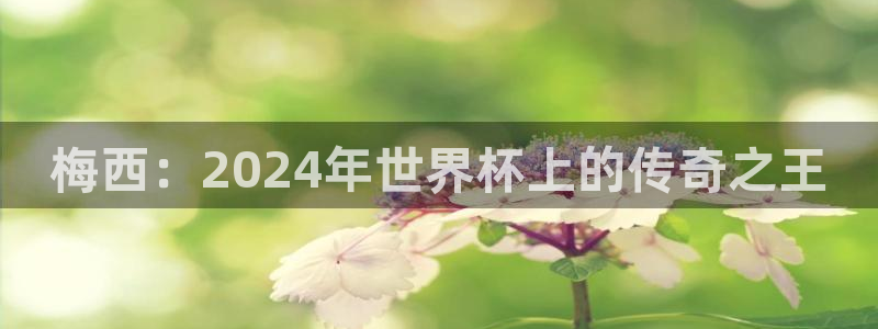 世界杯足球赛2026：梅西：2024年世界杯上的传奇之王