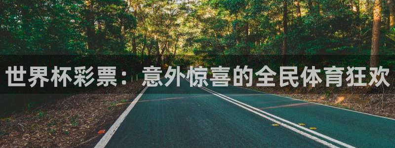 2026世界杯赛程时间表最新：世界杯彩票：意外惊喜的全民体育狂欢