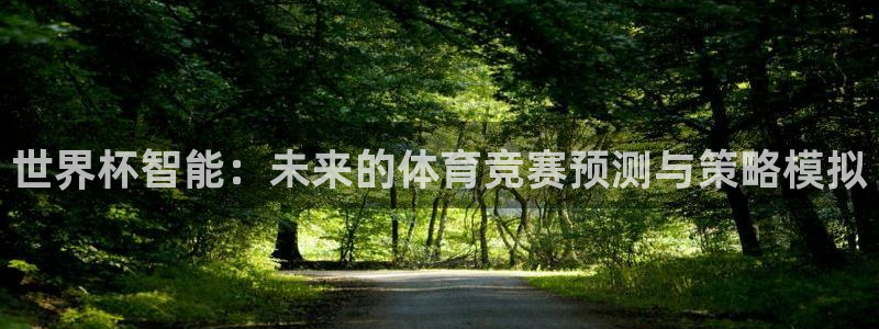 足球杯：世界杯智能：未来的体育竞赛预测与策略模拟