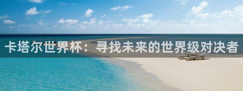 预选赛世界杯：卡塔尔世界杯：寻找未来的世界级对决者